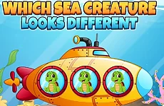 Which Sea Creature Looks Different