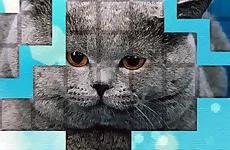 PicPu - Cat Puzzle