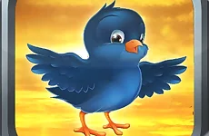 Bird Fly