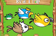 Bird Trap