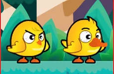 Chicken And Duck Brothers