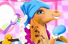 Fairy Pony Caring Adventure