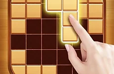 Wood Block Puzzle - Brain Game