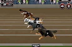 Crazy Dog Racing Simulator Games 3D