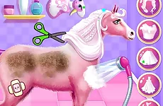 Princess Horse Caring