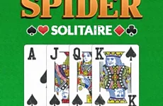 Spider Solitaire Pro