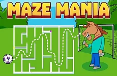 Maze Mania