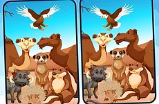 Spot 5 Differences Deserts