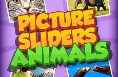 Picture Slider Animals