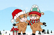 Cute Christmas Bull Difference