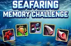 Seafaring Memory  Challenge