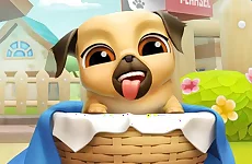 My Cute Puppy Grooming 3D