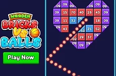Wooden Bricks Vs Balls