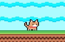 Hungry Cat