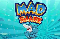 Mad Shark Fish