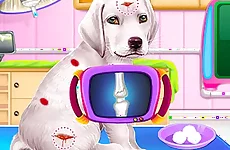 Labrador Puppy Daycare Salon