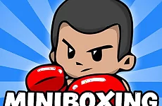 Mini Boxing