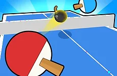 Ping Pong Table Tennis