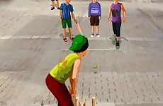 Gully Cricket