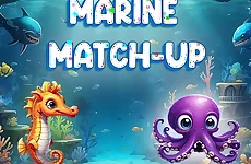 Marine Match Up