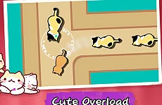 Cat Freeway
