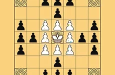 Tafl: viking chess