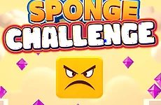 Sponge Challenge