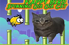 Flappy Bird Spinning oia oia Cat